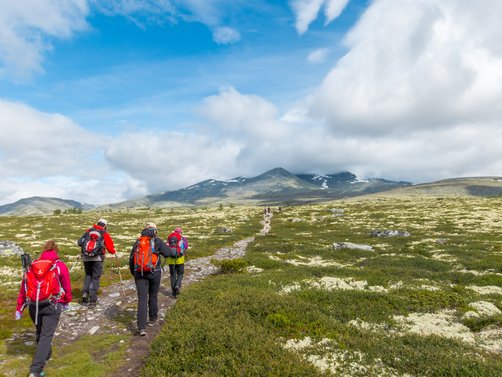 Norwegen mit Kindern - Norwegen for family - Wandern auf dem Berg Heidalsmuen