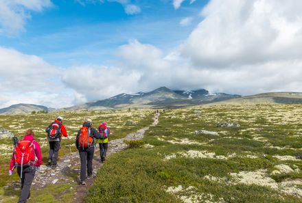 Norwegen Familienreise - Norwegen for family - Wanderung zum Heidalsmuen