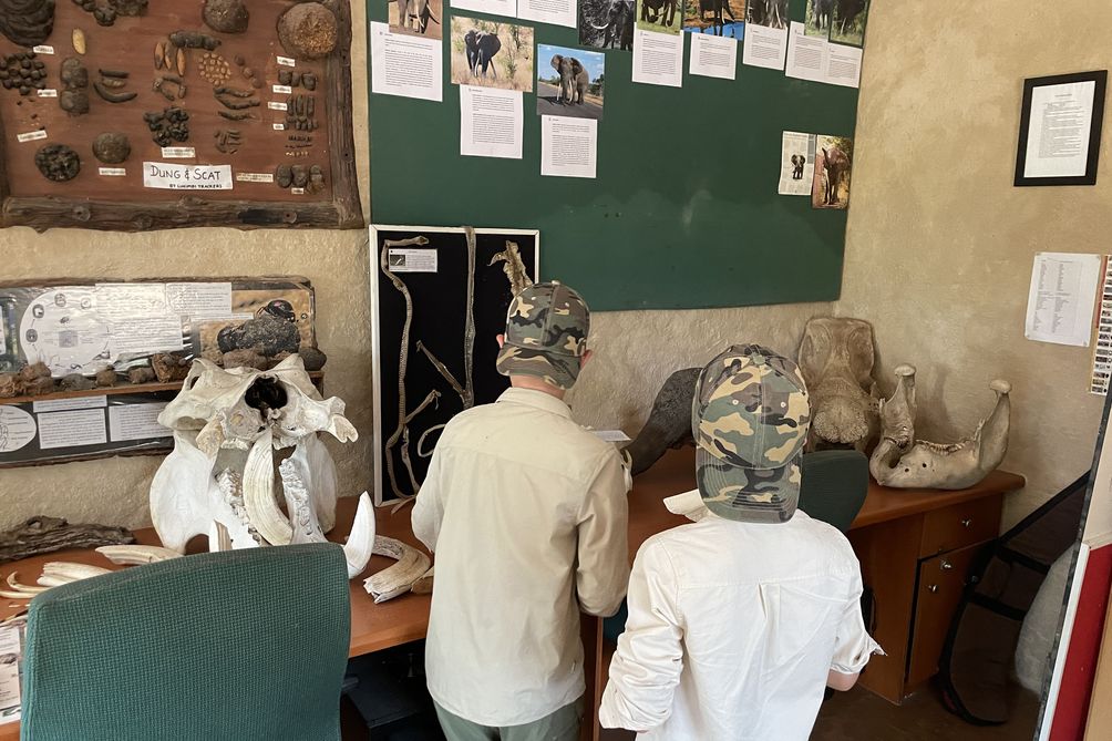 Rundreise Krüger Nationalpark mit Kindern - Kids-Safari-Programm auf Lodge