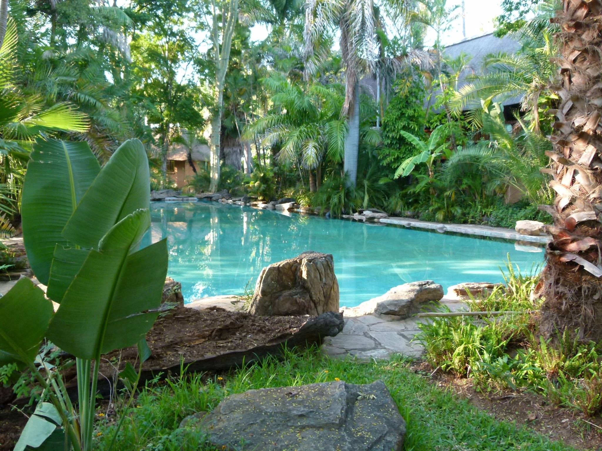 Südafrika mit Kindern - Pool von Makutsi