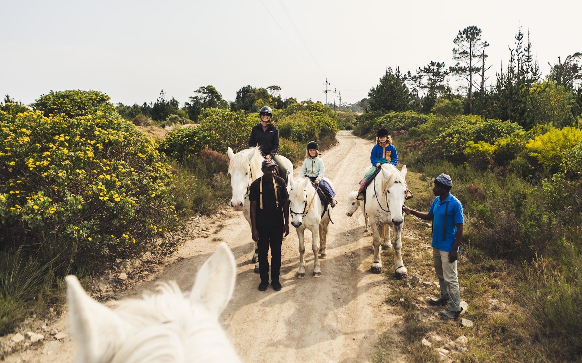 Südafrika Blog Artikel - Kinder reiten auf weißen Pferden – Südafrika Reise mit Kindern