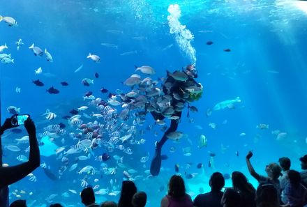 Israel Familienreise - Israel for family individuell - Unter Wasser