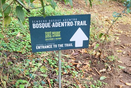 Costa Rica Familienreise - Costa Rica for family individuell - La Tigra Rainforest Lodge - Trail