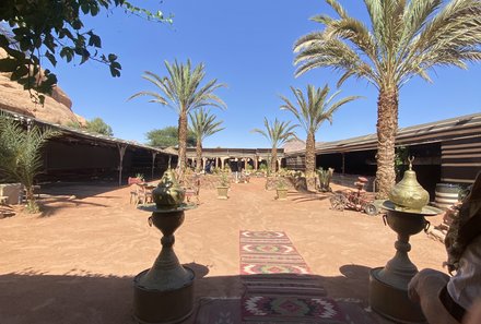 Jordanien Rundreise mit Kindern - Jordanien for family - Wadi Rum Captains Camp - Palmen
