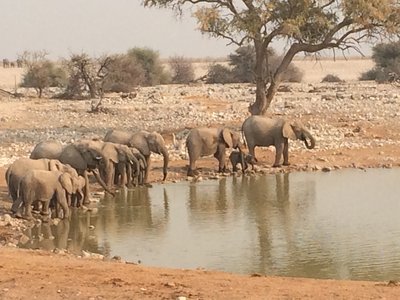 image 138632478
