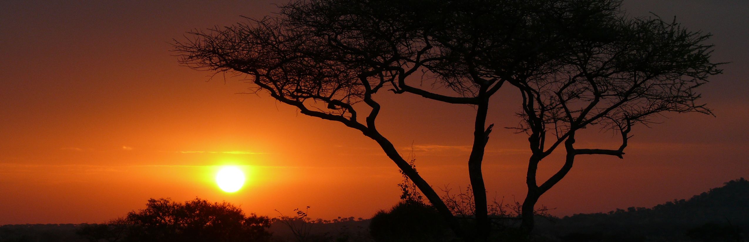 Familienreise Tansania  - Tansania for family - Header Reiseinformationen