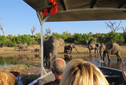 Botswana Familienreise mit Kindern - Botswana Fly-In-Safari individuell - Jeep Safari