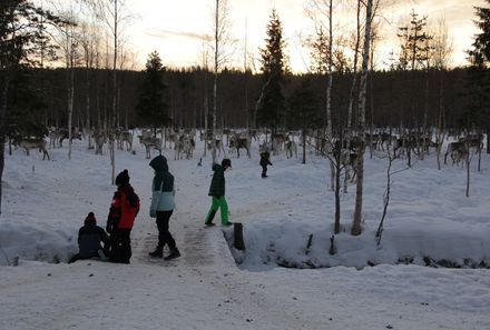 Finnland Familienurlaub - Finnland Winter for family - Kinder spielen an Bachlauf