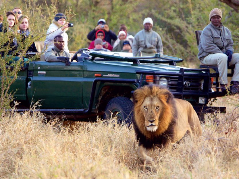 For Family Reisen - Single-Reisen mit Kind - Auf Safari in Afrika