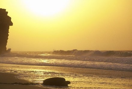 Familienreise Oman - Familienreise for family - Sonnenuntergang mit Schildkröte