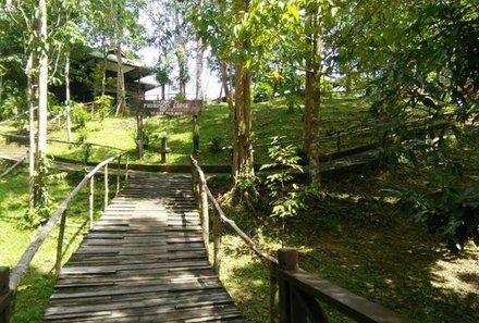 Malaysia Family & Teens - Proboscis Lodge Bukit Melapi - Anlage