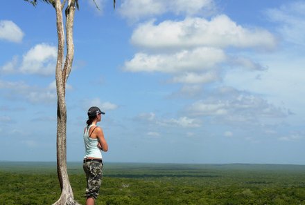 Mexiko Familienreise - Mexiko Family & Teens - Calakmul Ausblick
