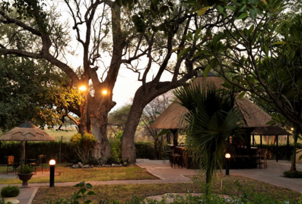 Botswana FIT - Cresta Rileys Hotel - Maun  - Garten