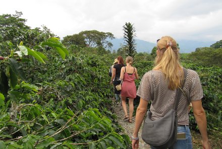 Kolumbien Familienreise - Kolumbien Family & Teens - Spaziergang über eine Kaffeeplantage