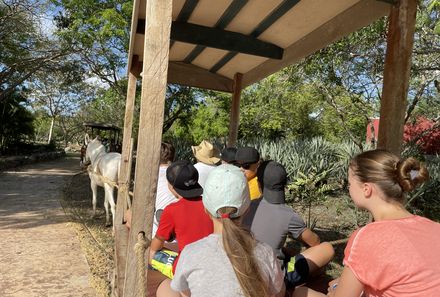 Mexiko Familienreise - Mexiko for family - Maultierfahrt Hacienda