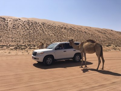 Oman Family & Teens - Bewertung - Auto und Kamel