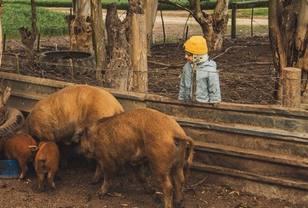 Südafrika Blog Artikel - Wildschweine auf der Farm – Südafrika mit Kindern