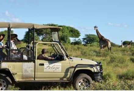 Südafrika Familienreise - Safari und Strand - Safari  Jeep