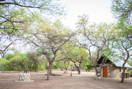 Familienreise Namibia individuell mit Dachzelt - Onguma Leadwood Campsite
