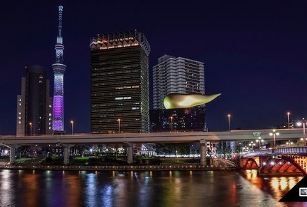 Japan for family individuell - Tokyo - Abends