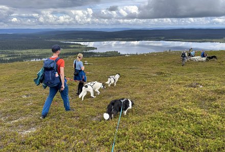 Schweden for family - Husky Farm - Trekking mit Husky