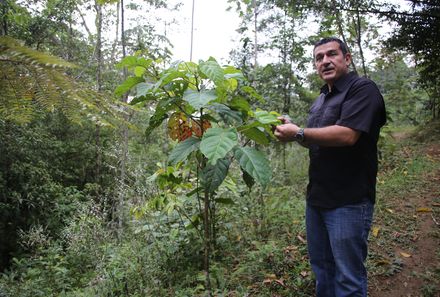 Familienreise Costa Rica - Costa Rica Family & Teens - La Tigra Mann zeigt Pflanzen
