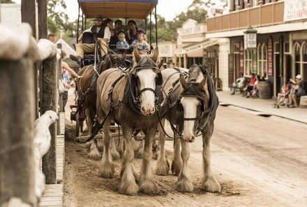 Australien for family - Australien Familienreise - Kutsche Sovereign Hill