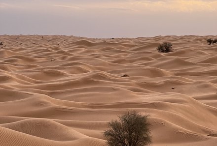 Tunesien Familienurlaub - Tunesien for family - Sahara