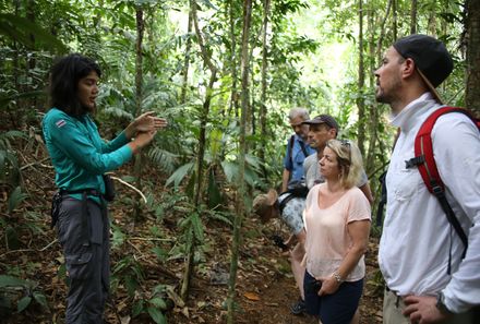 Costa Rica Familienreise - Costa Rica for family - Maquenque Lodge - Wanderung durch Wald