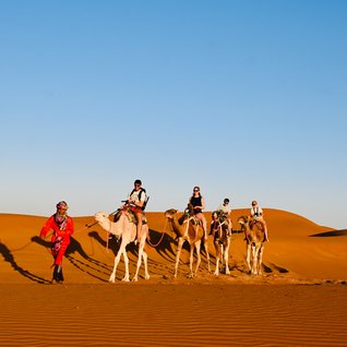 Marokko Familienreise - Kameltrekking in der Wüste