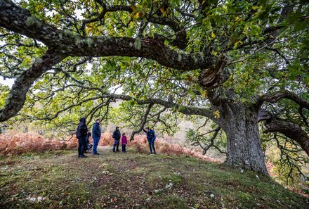 Schottland Familienreise - Schottland mit Kindern - Rewilding Besucherzentrum Wanderung mit Guide