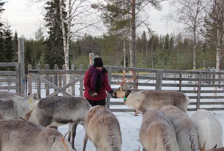 Finnland Familienurlaub - Finnland Winter for family -Rentier Fütterung