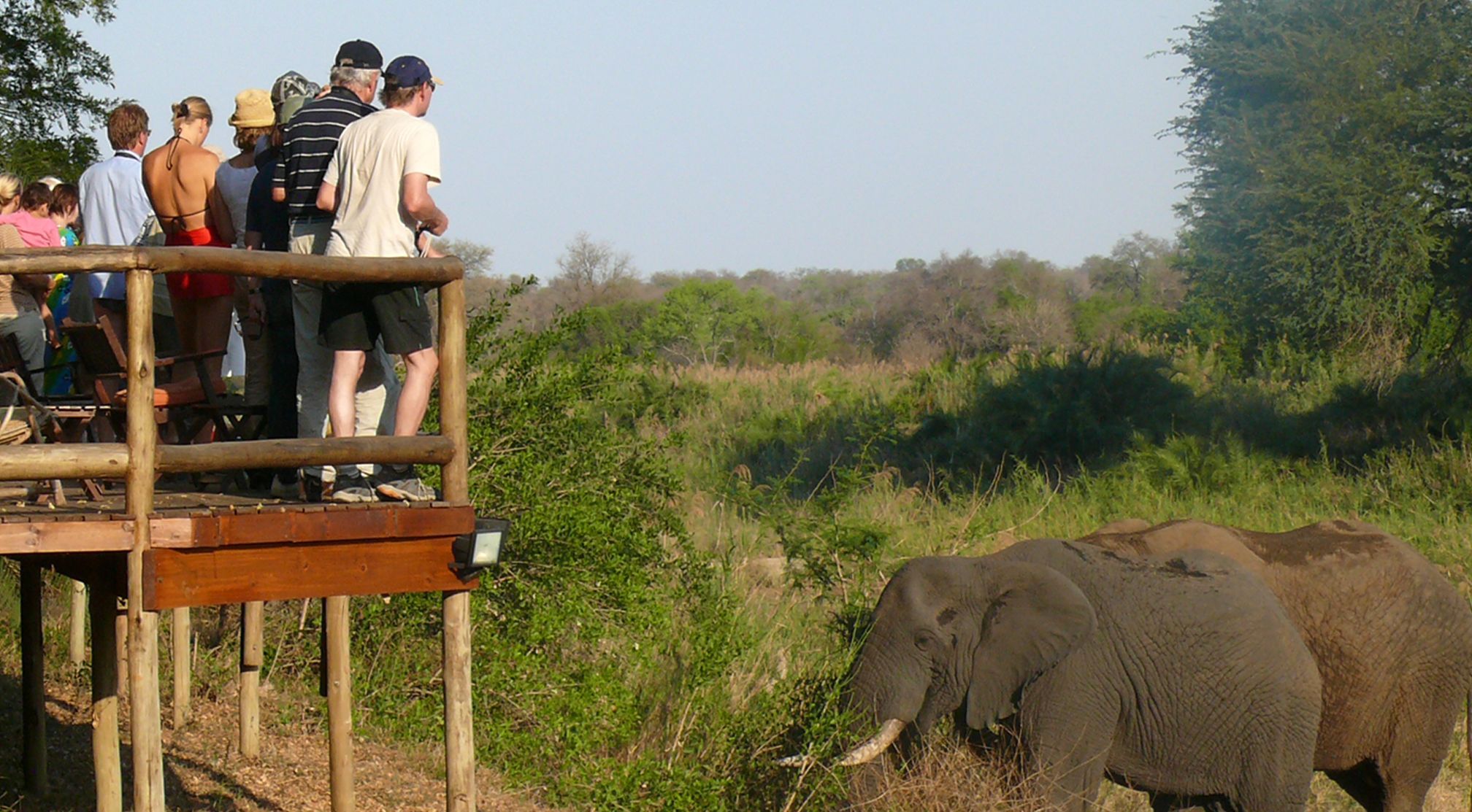 Südafrika mit Kindern -  Safari auf Makutsi
