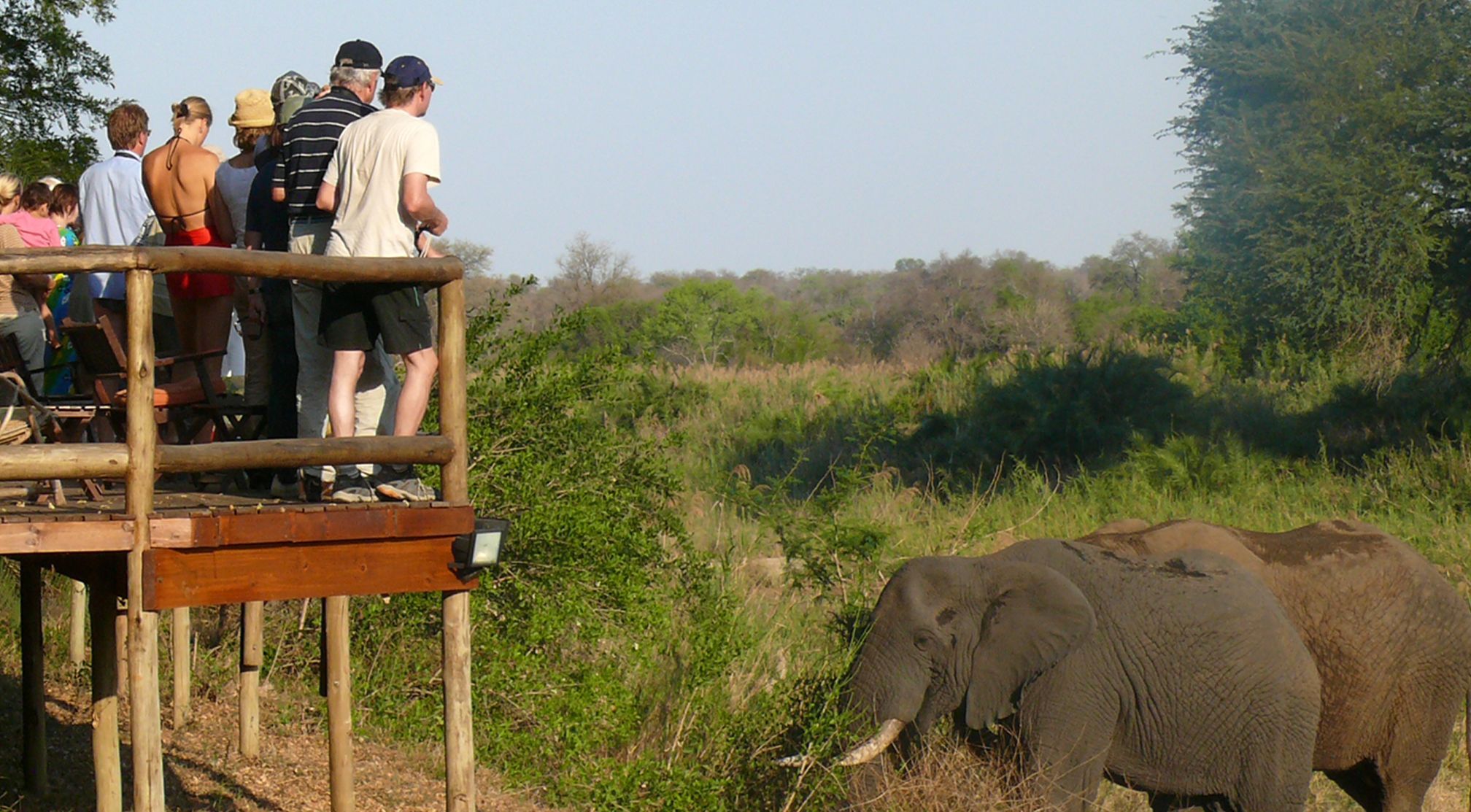 Südafrika mit Kindern - Safari auf Makutsi