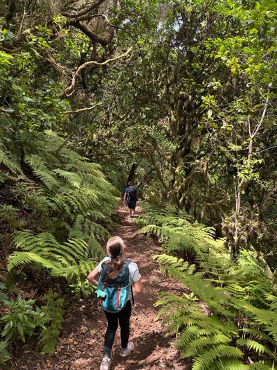 Teneriffa for family - Teneriffa Familienreise - Kind bei Wanderung auf Teneriffa