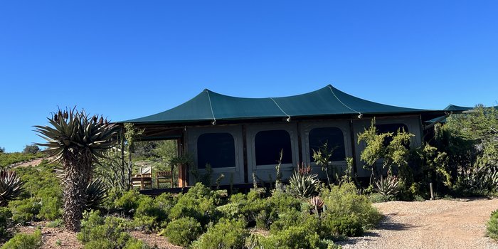Südafrika Safari Lodges mit Kindern - Familienfreundliche Unterkünfte Garden Route - Buffelsdrift Game Lodge
