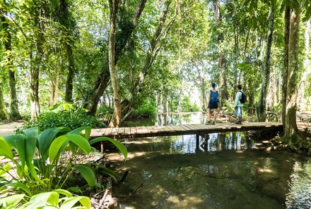 Laos und Vietnam Familienreise - Laos und Vietnam Reise mit Kindern - Steg im Wald