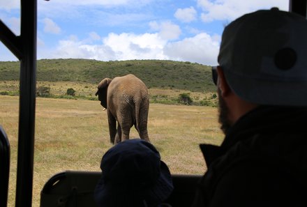 Familienurlaub Garden Route - Garden Route for family - Elefant auf Safari