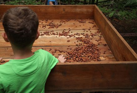 Costa Rica mit Kleinkindern - Kind bei Kakaobohnen