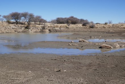 Familienreise Namibia - Namibia for family - Wasserloch 