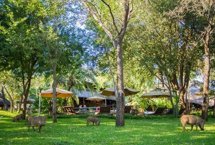 Namibia Familienreise individuell - Namibia for family - Lokuthula Lodges - Garten