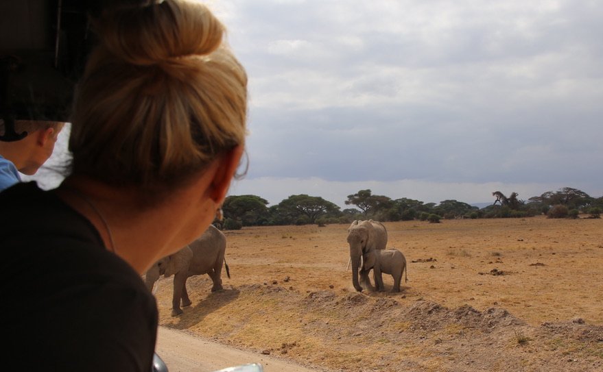 Reisebericht Kenia - Safari mit Kindern - Elefanten beobachten