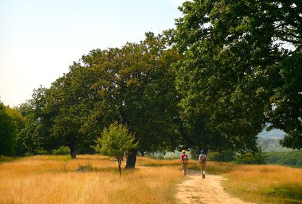 Rumänien Familienreise - Rumänien for family - Landschaft