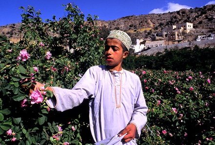 Familienreise Oman - Familienreise for family - Farmer pflückt Blumen