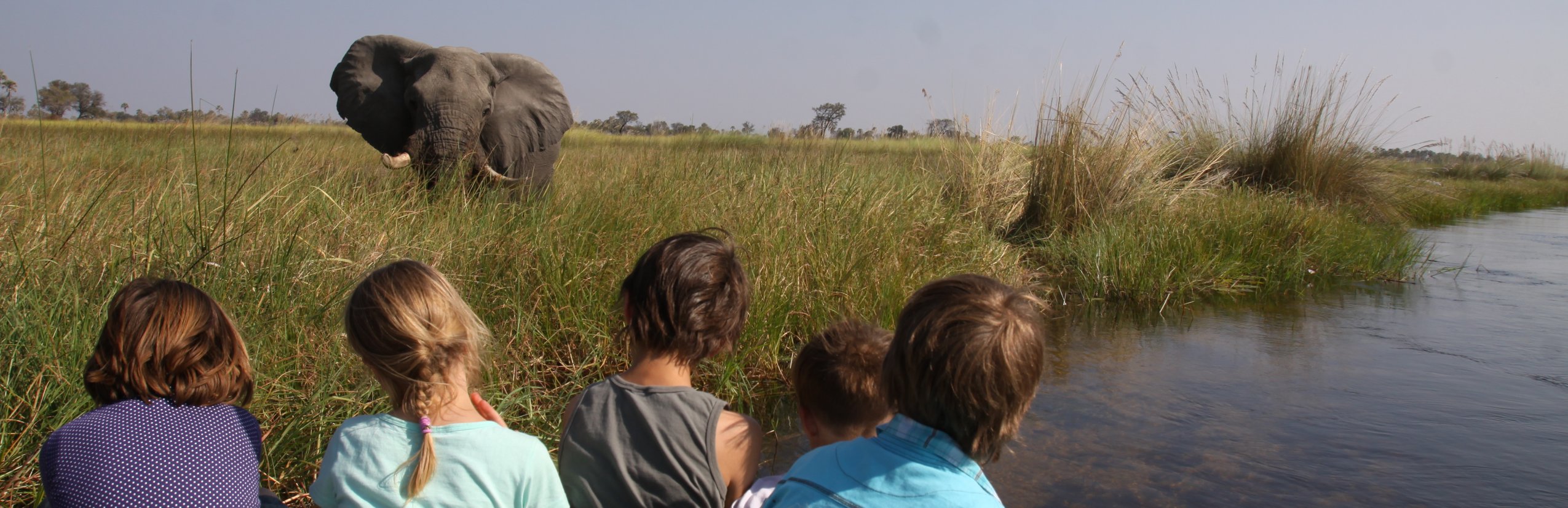 Botswana mit Kindern - Familienreisen weltweit stark gefragt - Kinder beobachten Tiere