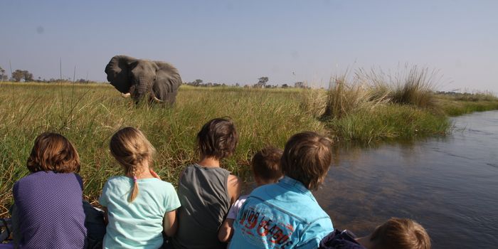 Botswana for family - Tierbeobachtung Copyright For Family Reisen