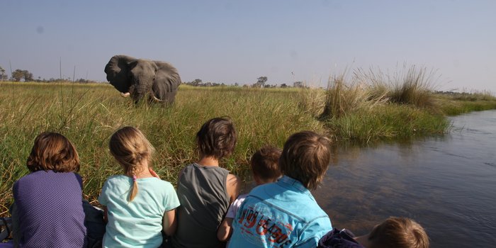 Botswana mit Kindern - Familienreisen weltweit stark gefragt - Kinder beobachten Elefanten