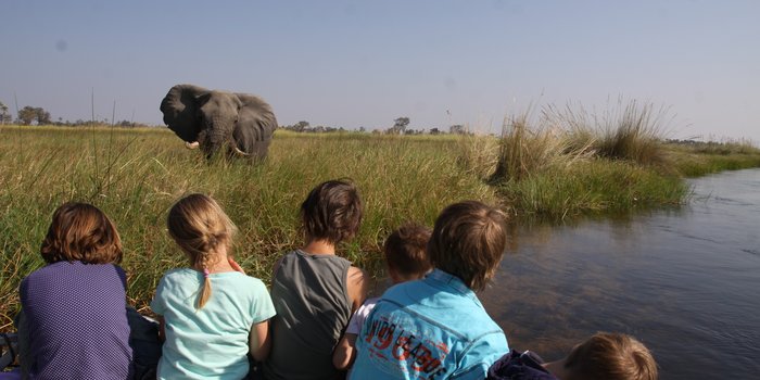 Botswana mit Kindern - Familienreisen weltweit stark gefragt - Kinder beobachten Elefanten