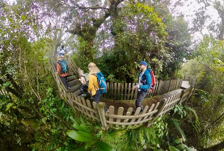 Familienreise Malaysia - Malaysia & Borneo Family & Teens - Spaziergang im Mossy Forest