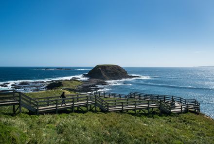 Australien for family - Australien Familienreise - Phillip Island